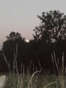 lune sur champ de blé
