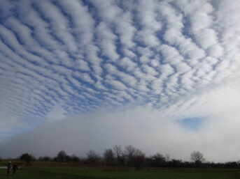 Ciel bleu avec banc de nuages.