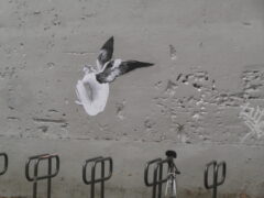 Mur de prison.