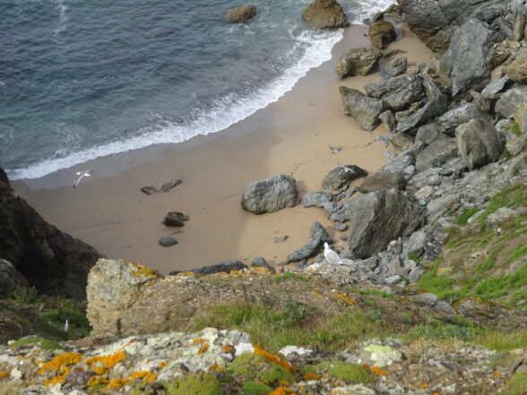 Plage vue du haut d'une falaise.